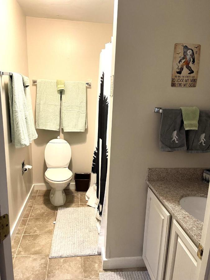 Unique Yeti-Theme Ski On Off Suite Jiminy-Sleeps 4 Hancock Kültér fotó